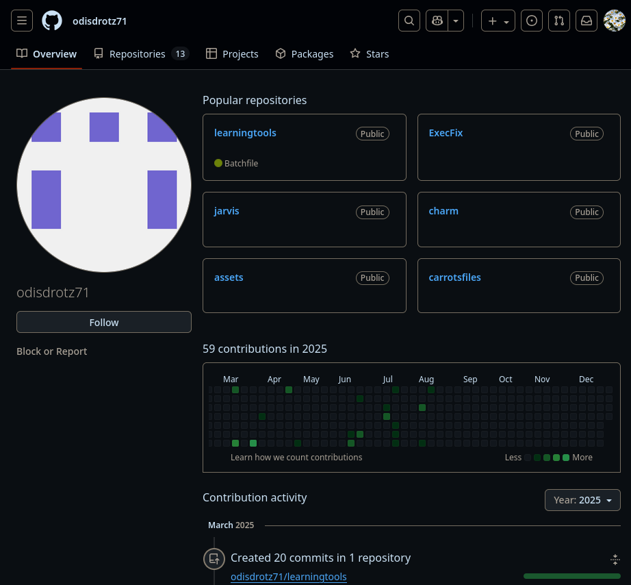 GitHub profile of the TAs